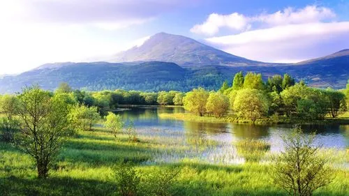 绿色高性能信息化